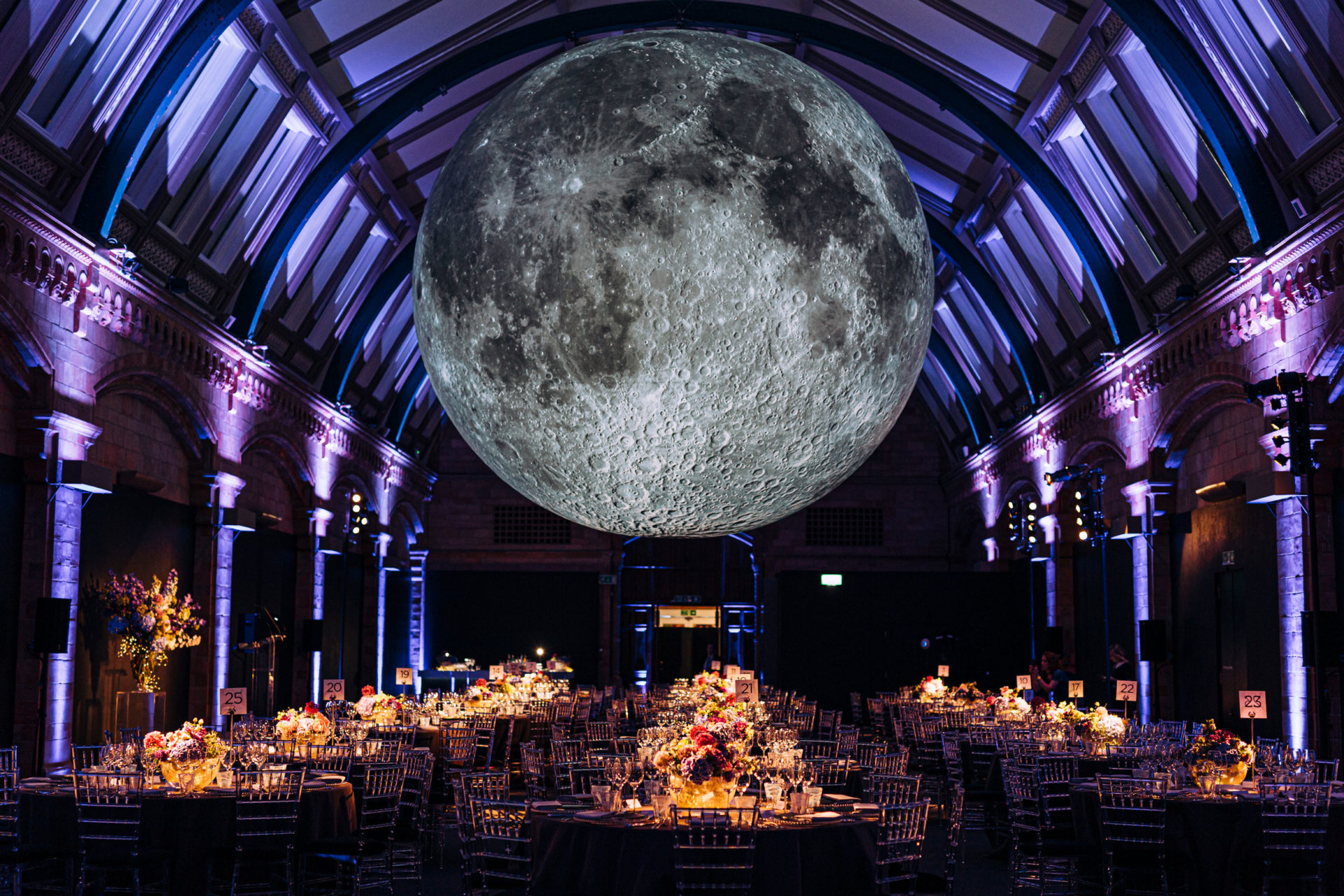 Natural History Museum Event Catering Moving Venue natural-history-museum-event-catering-moving-venue