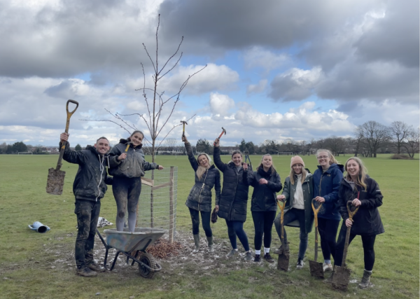 Green Smarties Tree Planting